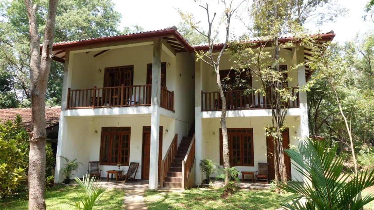 Isanka Lion Lodge Sigiriya Exterior foto